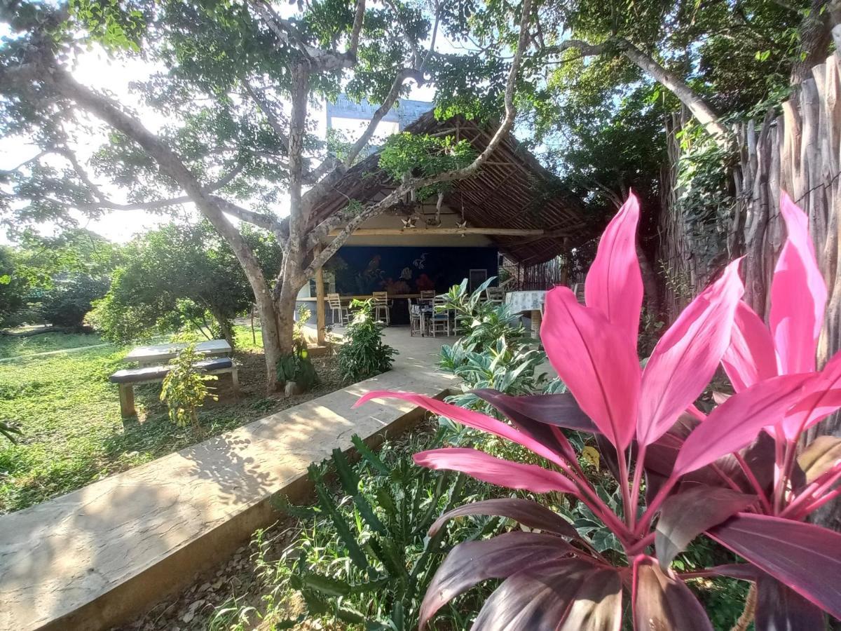 Watamu Beach Cottages B&B מראה חיצוני תמונה